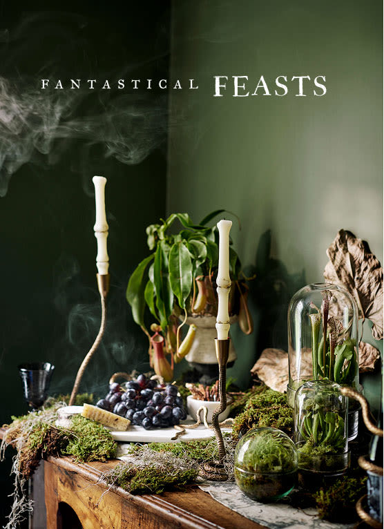 Fantastical Feasts