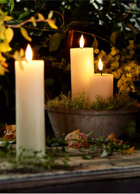 Stargazer Flameless Candles