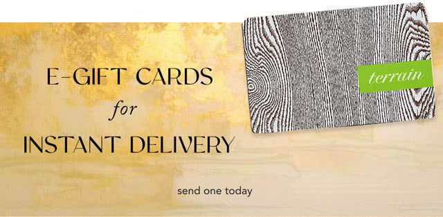 E-gift cards for instant delivery