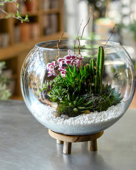 Terrariums