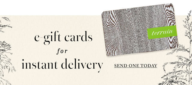 E-gift cars for instant delivery