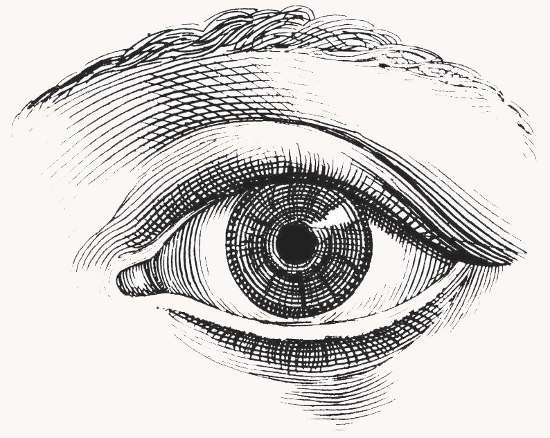 Lapis blue eye sml