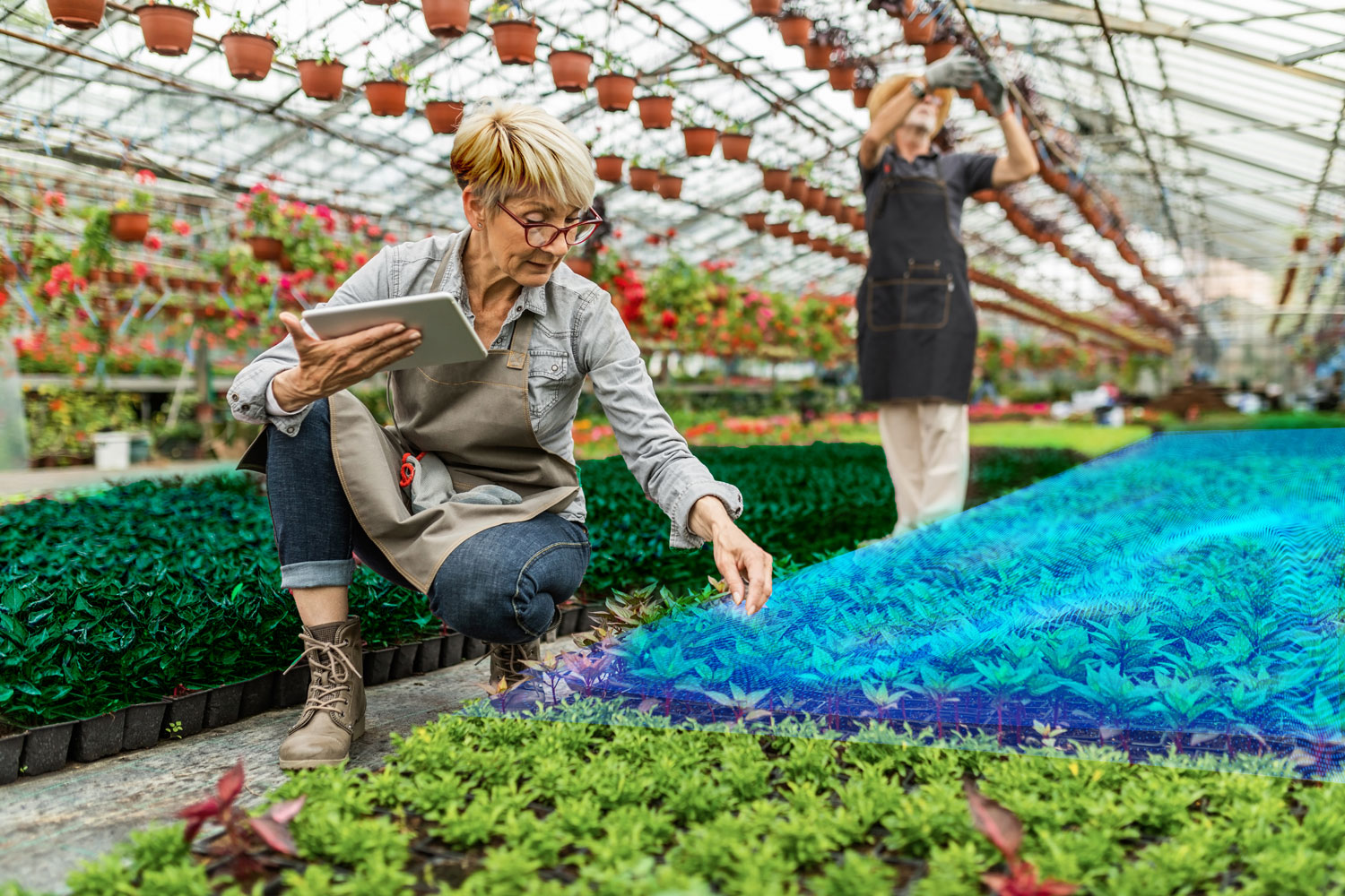 How Data insights Improved water distribution in a Swedish greenhouse 