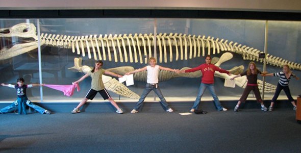 Kronosaurus Alicia Zampitella