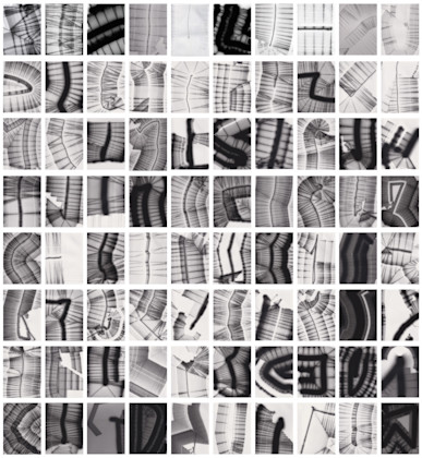 Art in Motion: Marcel Schwittlick cover image