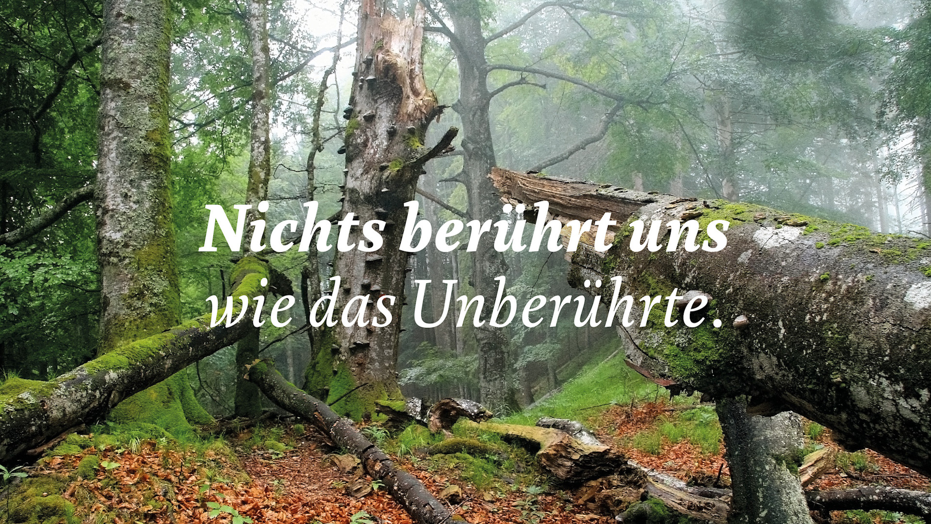 Presse | Scholz & Friends Wien gewinnt Nationalparks Austria