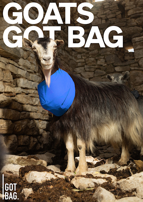 GotBag GoatsGotBag Posters 1000px Width5