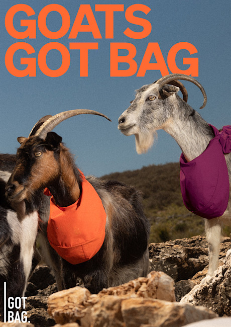 GotBag GoatsGotBag Posters 1000px Width4