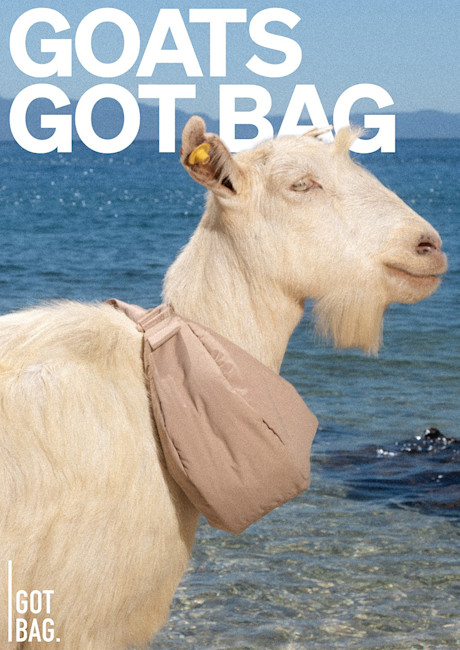 GotBag GoatsGotBag Posters 1000px Width