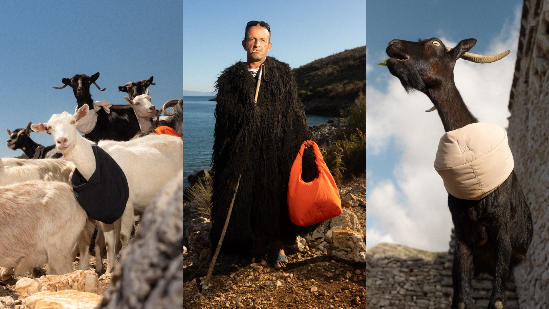 Presse | GOATS GOT BAGS: Scholz & Friends und GOT BAG machen Ziegen zu Markenbotschaftern