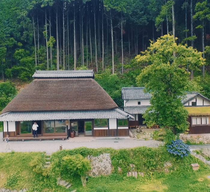 Sasayuri Ann 02