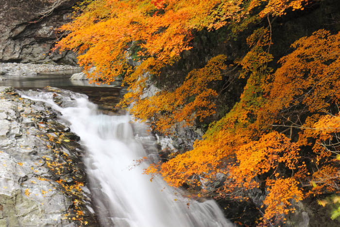 Mitarai Valley Autumn Leaves 02