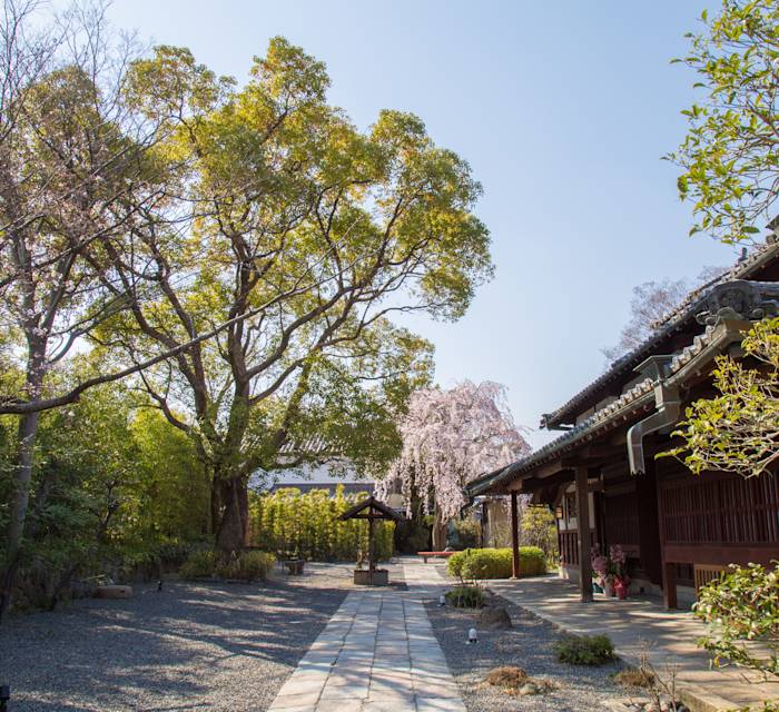 Ubusuna no Sato TOMIMOTO 01