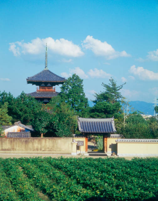 Hokiji Temple 02