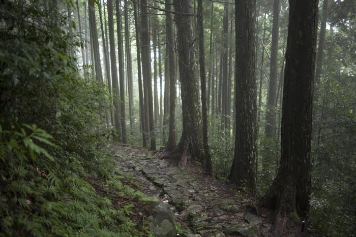 Kumano Kodo Kohechi Pilgrimage Route 04