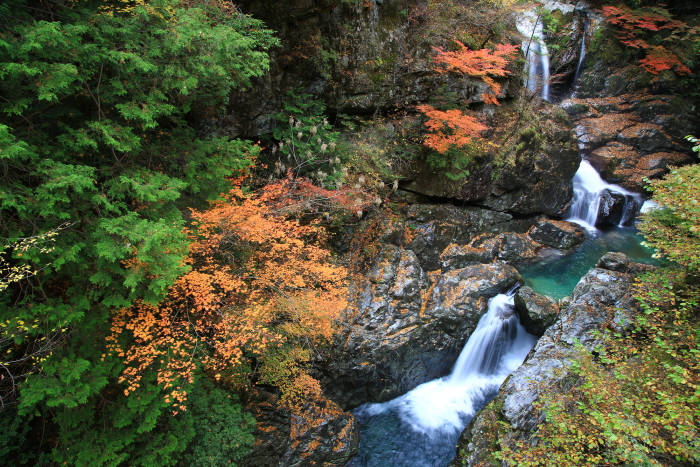 Mitarai Valley Autumn Leaves 01