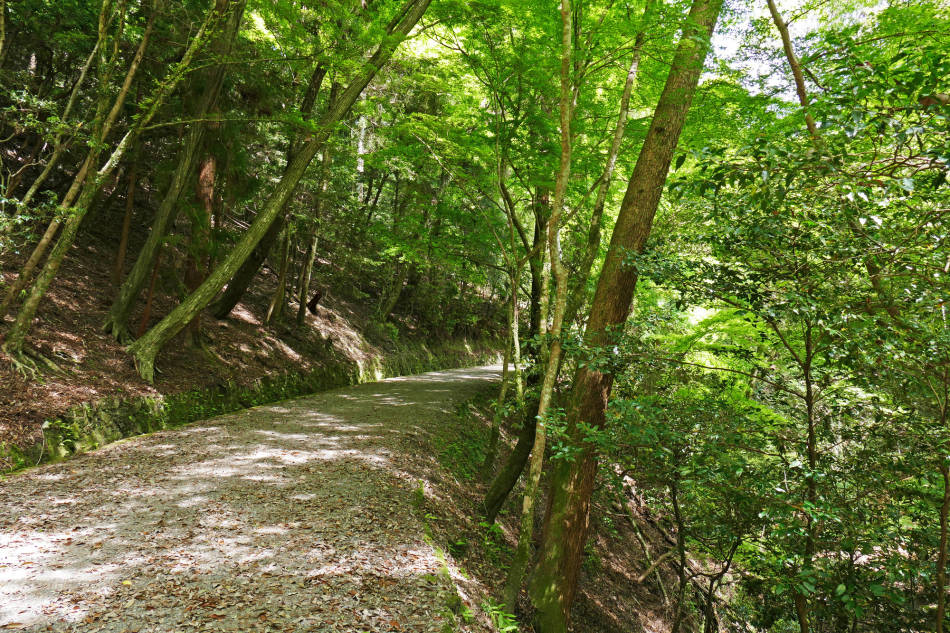 Mt. Wakakusa - Mt. Kasuga Nature Trail 01