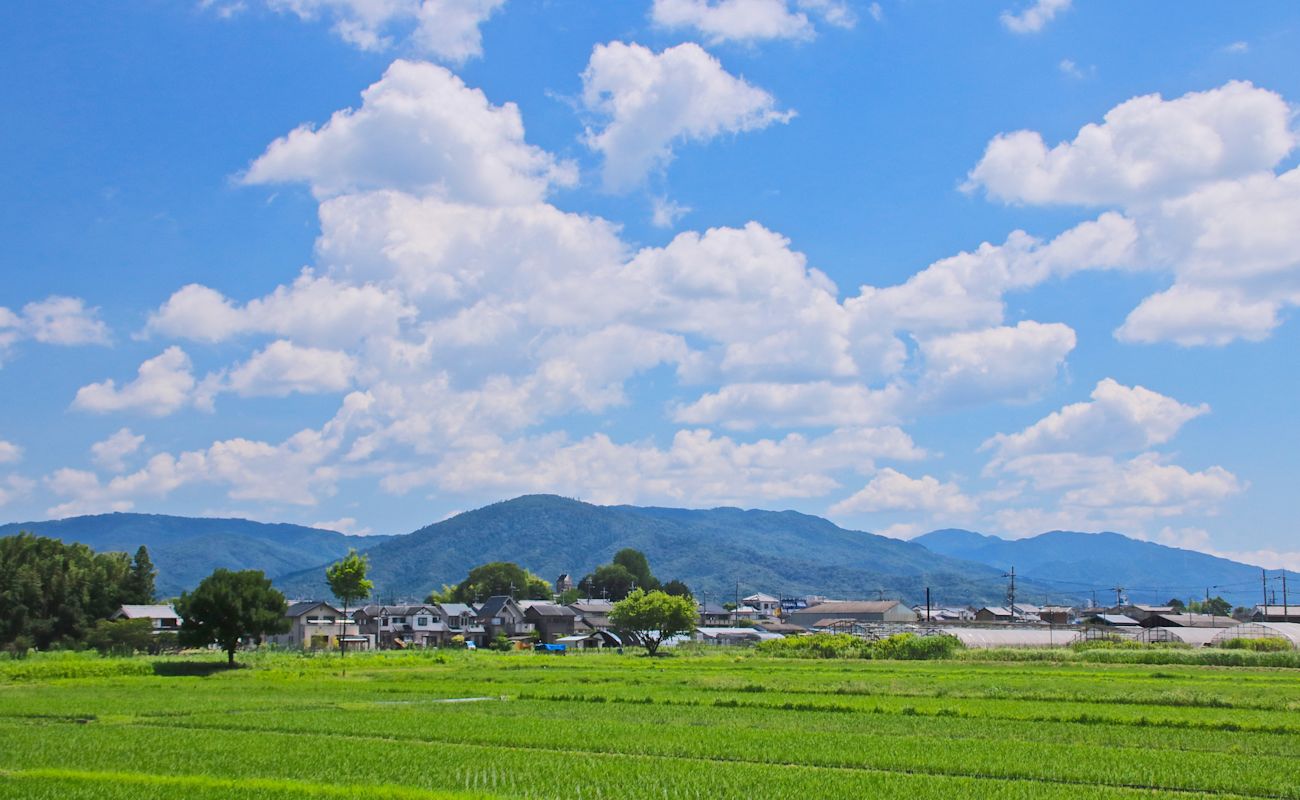 A01190 pixta 23328457 M