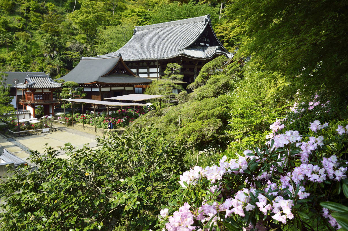 Okadera Temple (Ryugaiji Temple)