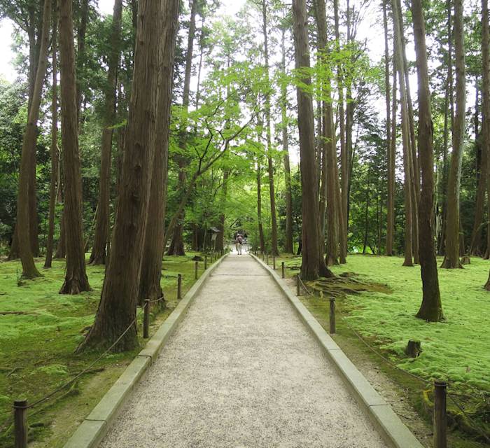 Toshodaiji Temple 01