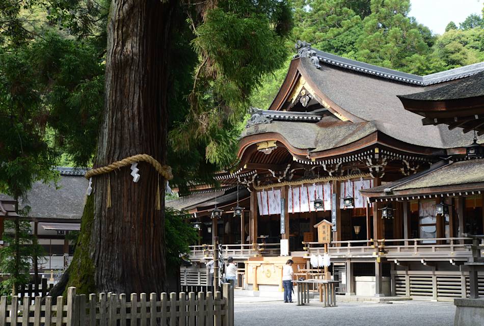 Ohmiwa-jinja Shrine 01