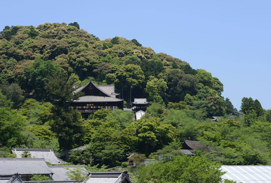 Hasedera Temple 01