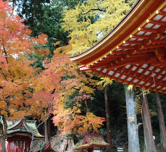 Tanzan Jinja Shrine 02