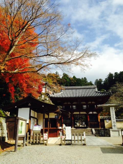 Okadera Temple (Ryugaiji Temple) 02