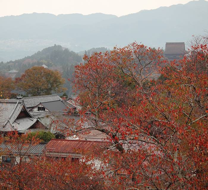 Kinpusen-ji Temple 03