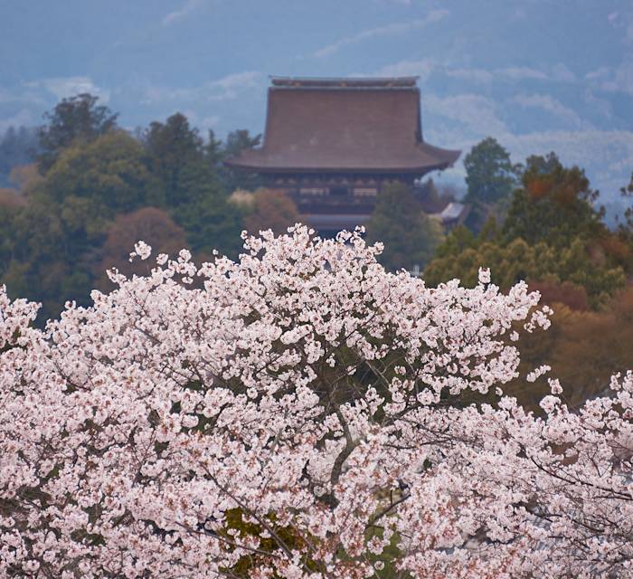 Kinpusen-ji Temple 02