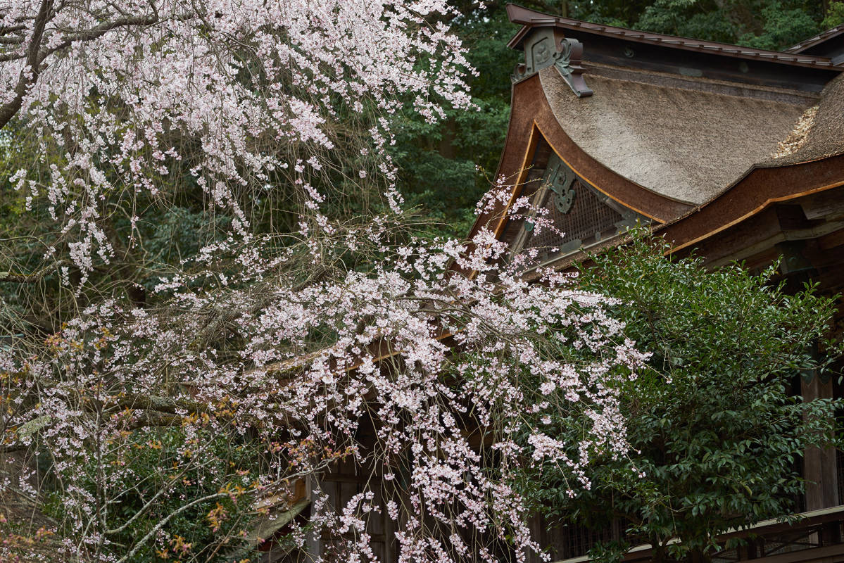 Yoshino Mikumari-jinja Shrine