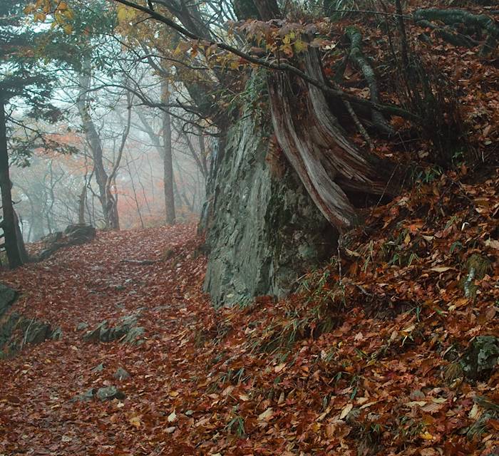 Odaigahara Plateau 03