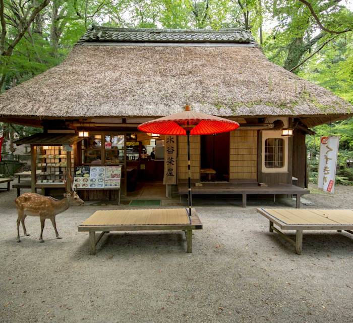 Mizuyachaya 01