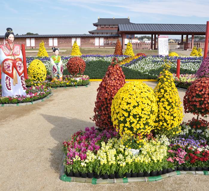 Heijyo Tempyo Autumn Festival 03