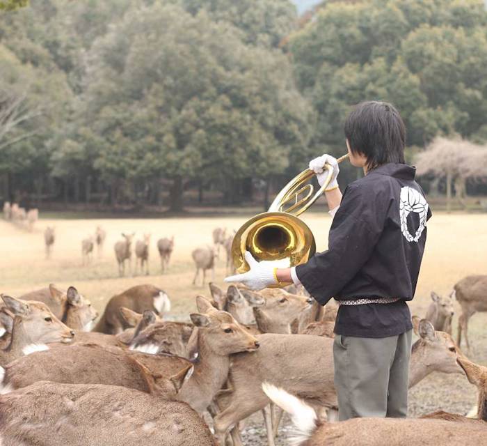 Yamatoji Winter Shikayose 02