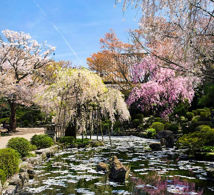 Chikurin-in Temple & Garden 02