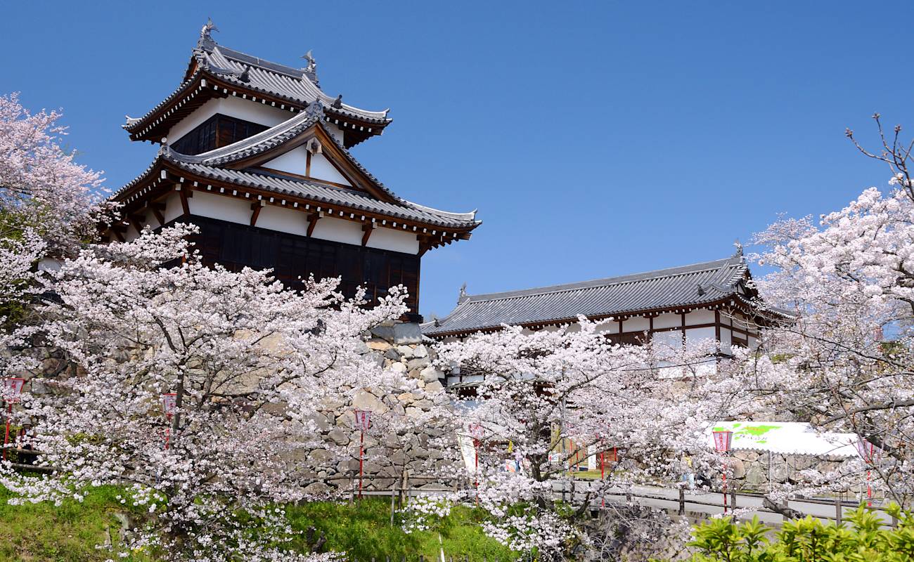 Former Site of Kohriyamajo Castle