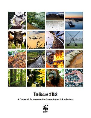 The Nature of Risk cover