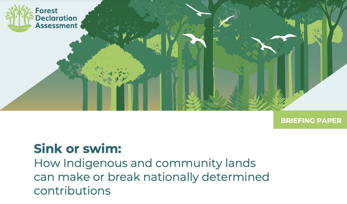 Sink or swim: How Indigenous and community lands can make or break nationally determined contributions cover