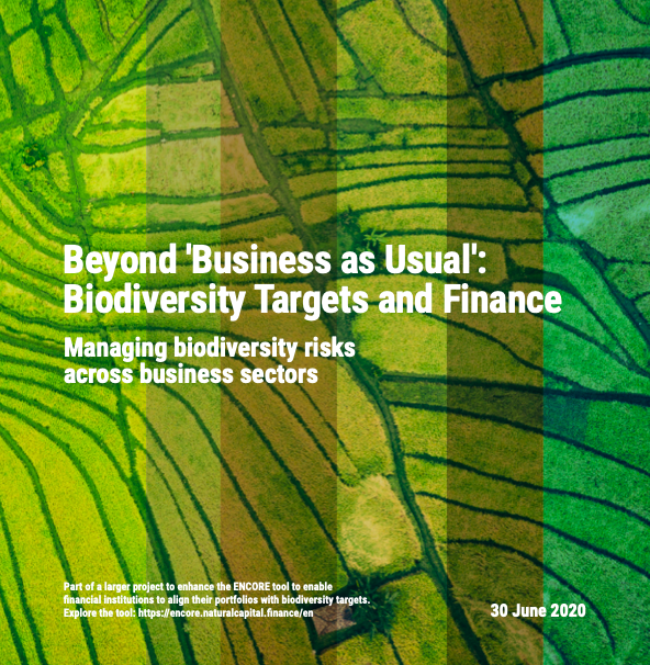 Beyond 'Business as Usual': Biodiversity Targets and Finance cover