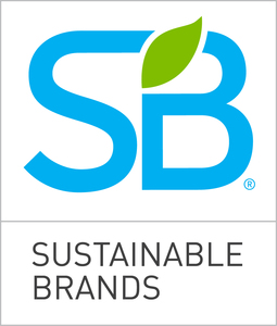 Confessing and Celebrating Failure as a Path to Successful Sustainability Strategies cover