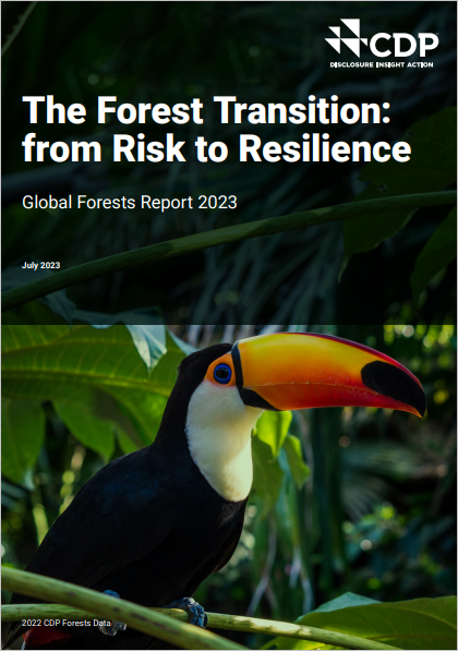 The Forest Transition: From Risk to Resilience cover