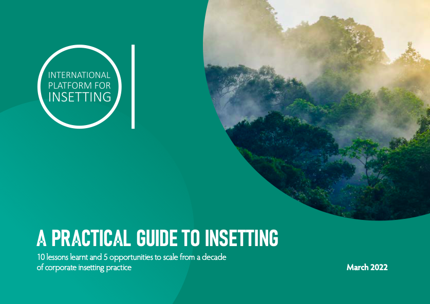 A Practical Guide to Insetting cover