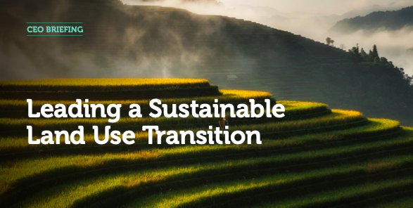 Leading a Sustainable Land Use Transition cover
