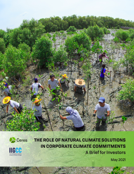 The Role of Natural Climate Solutions in Corporate Climate Commitments: A Brief for Investors cover