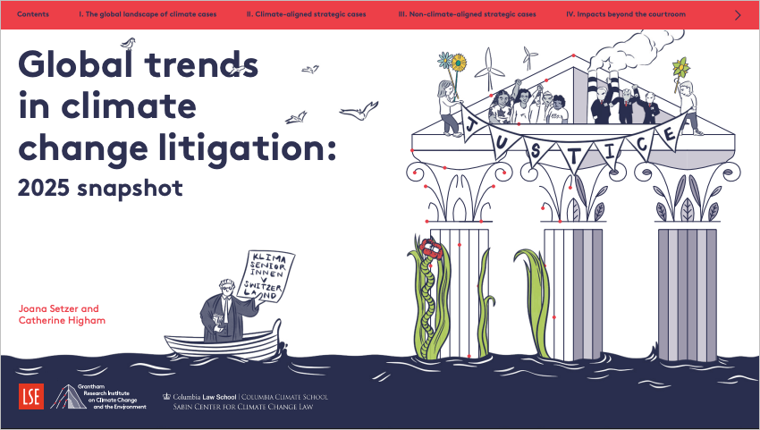 Global trends in climate change litigation: 2025 snapshot cover