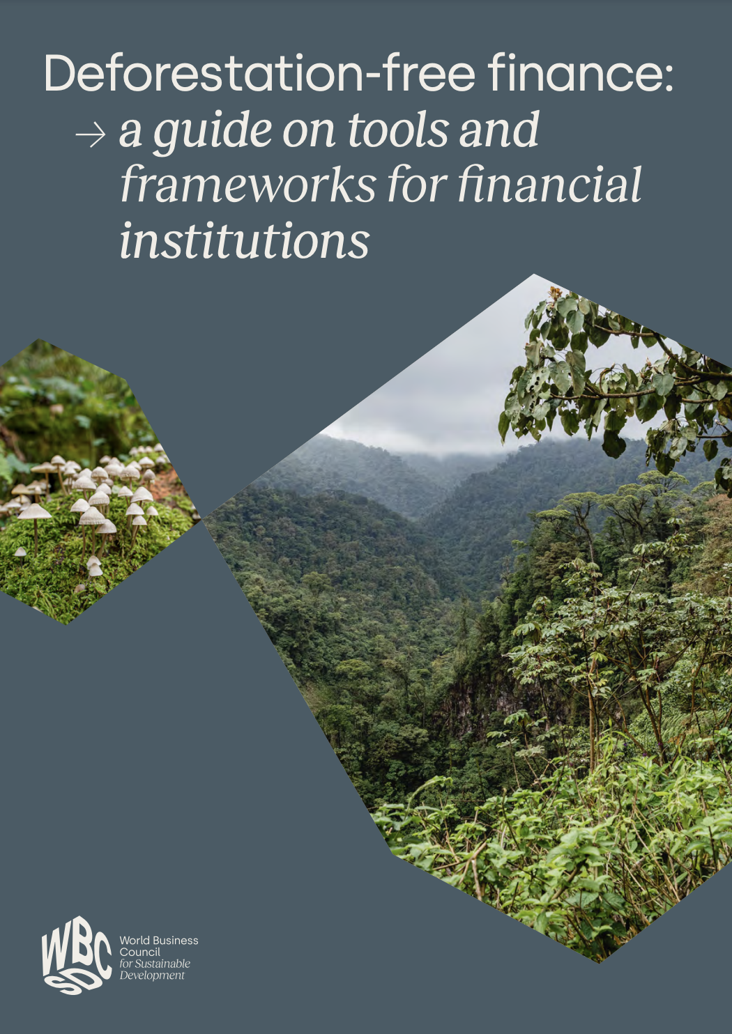 Deforestation-free finance: a guide on tools and frameworks for financial institutions cover