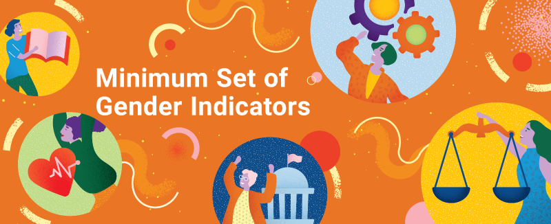 Minimum Set of Gender Indicators cover