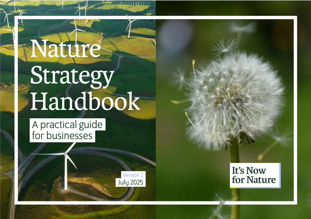 Nature Strategy Handbook: A practical guide for business cover