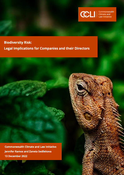 Biodiversity Risk: Legal Implications for Companies and their Directors cover